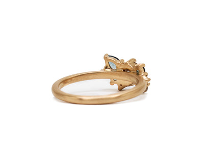 Daniel Ring